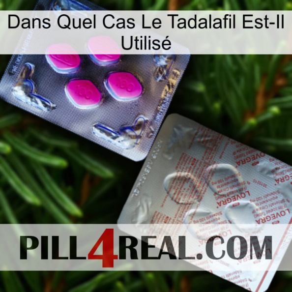 Dans Quel Cas Le Tadalafil Est-Il Utilisé 38.jpg